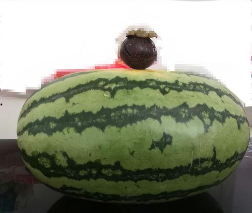 大家在哪吃的瓜,揭秘全民热议的美食瓜源地