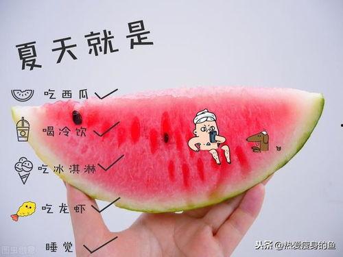 大象吃瓜的正确方法,轻松掌握大象吃瓜的正确姿势