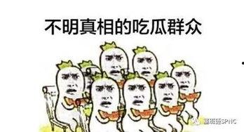 lsp吃瓜群众,揭秘网络热点的幕后故事