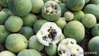 吃瓜嗑瓜,揭秘娱乐圈的甜蜜嗑瓜时光