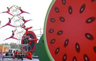 夏邑吃瓜,探寻夏邑特色美食之旅