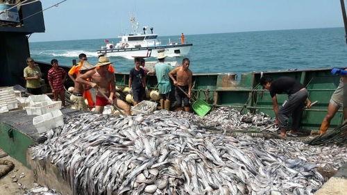 大陆渔船吃瓜围观,围观海上奇观