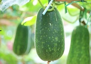 最近吃瓜热榜,盘点近期热门事件，揭秘娱乐圈幕后真相