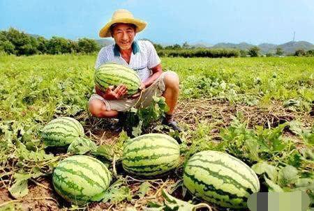 路边干仗吃瓜视频大全,干仗吃瓜视频大盘点