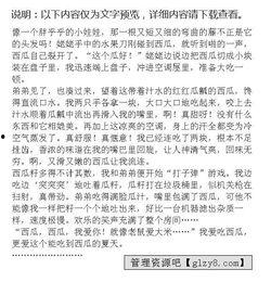 瓜地摘瓜吃瓜的作文,共享甜蜜时光