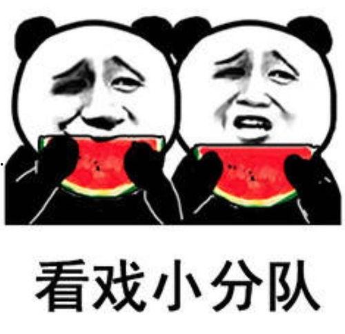 吃瓜照片表情包,吃瓜表情包背后的欢乐时光