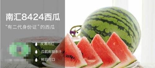 合格的吃瓜人,品味人间烟火，笑看风云变幻