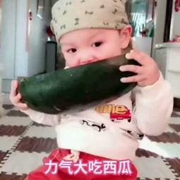 彩虹男孩吃瓜视频,趣味横生，揭秘网络红人幕后生活