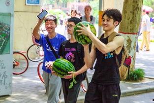 吃瓜天一学院,揭秘吃瓜天一学院的神秘面纱