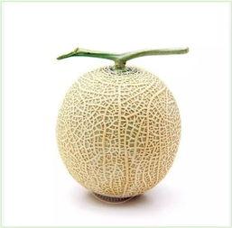 吃瓜群众茶叶,揭秘“吃瓜群众”与茶叶的奇妙邂逅